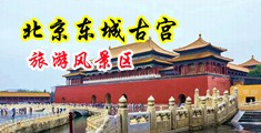 中国大鸡巴狂操俄罗斯妹子,超级刺激!中国北京-东城古宫旅游风景区